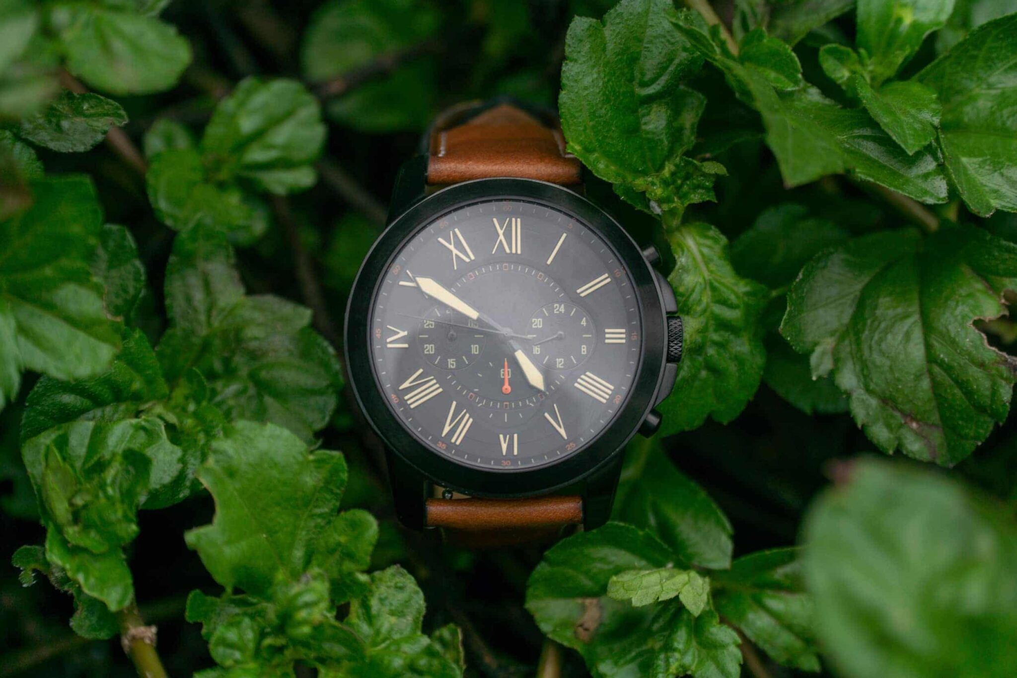 Curated visual reference: Visual Reference: Sustainable Watches Eco Friendly And Ethical Timepieces